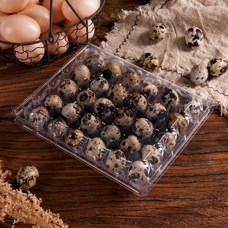 1000pcs Eco Friendly 30 Holes Clear Rectangle Quail Egg Packaging Container Plastic Quail Egg Tray