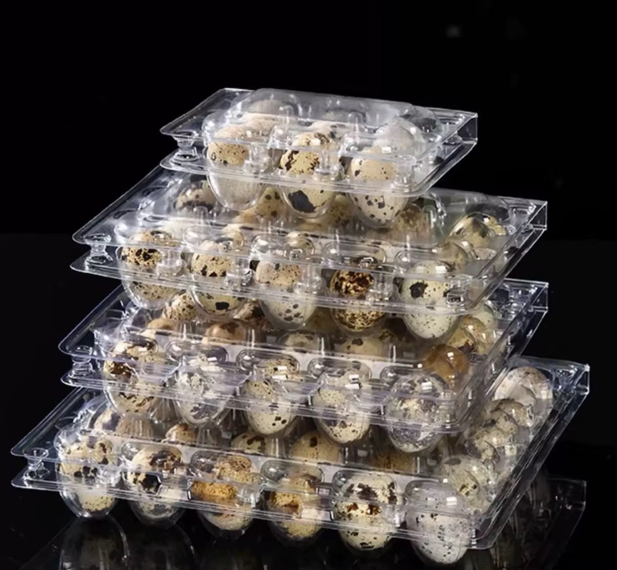 1000pcs Eco Friendly 30 Holes Clear Rectangle Quail Egg Packaging Container Plastic Quail Egg Tray