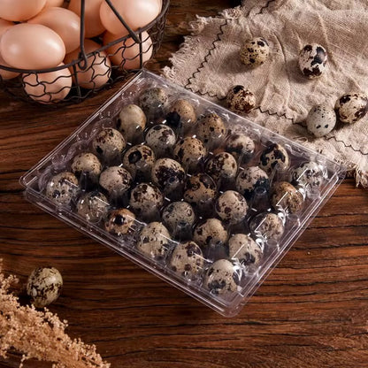 1000pcs Eco Friendly 30 Holes Clear Rectangle Quail Egg Packaging Container Plastic Quail Egg Tray