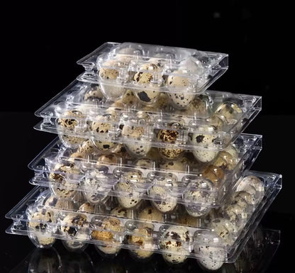 1000pcs Eco Friendly 30 Holes Clear Rectangle Quail Egg Packaging Container Plastic Quail Egg Tray